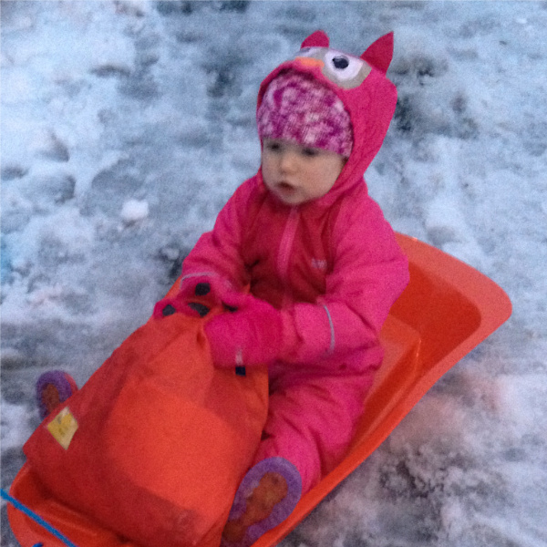 In the snow (1)