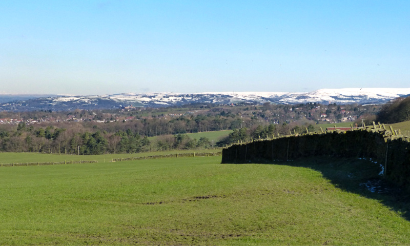 Lyme Park (7)
