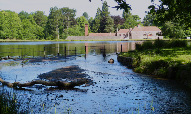 Lyme Park (10)