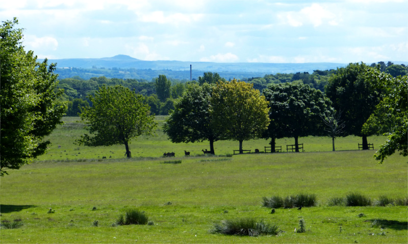 Tatton Park (2)