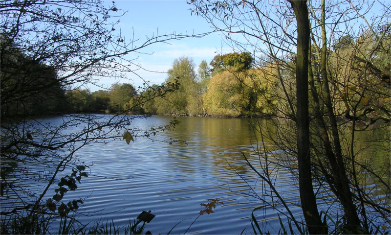 Culverthorpe Park (1)