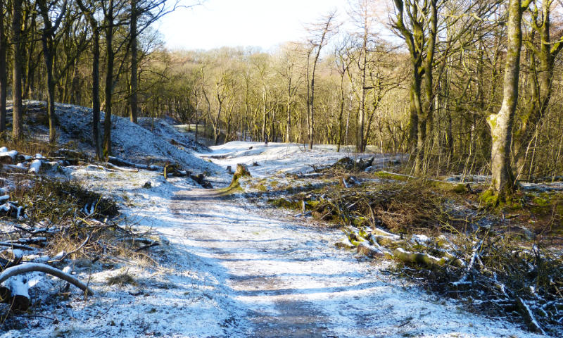 Buxton (3)