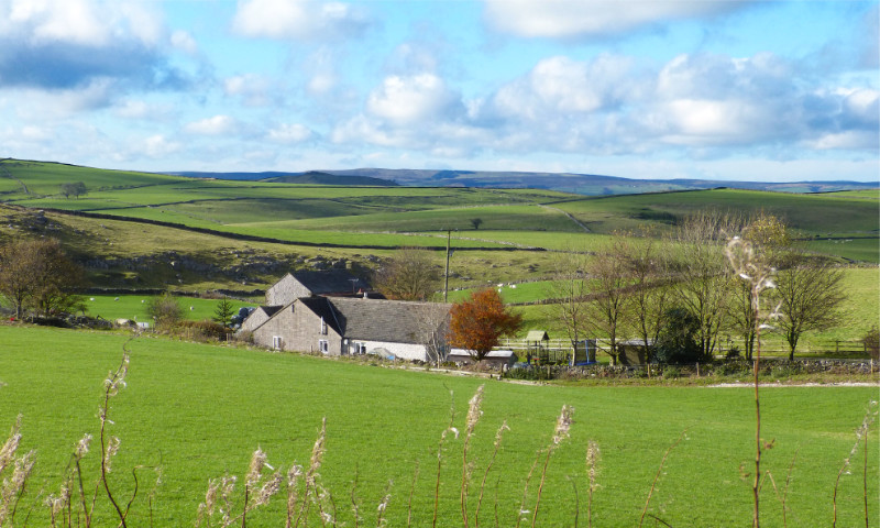Hartington Area (3)