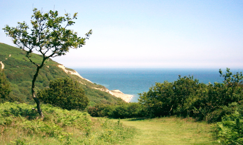 The Firehills